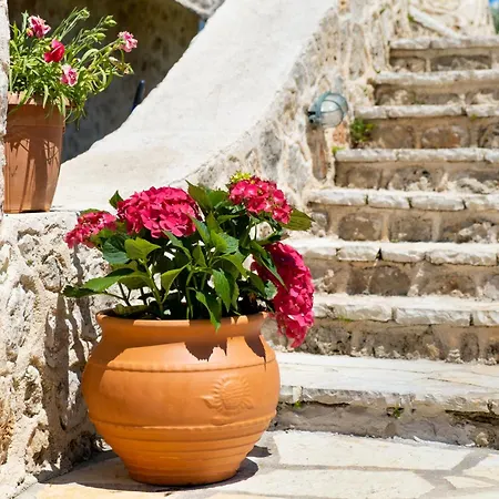 Gkountis Stone 4 Lefkáda